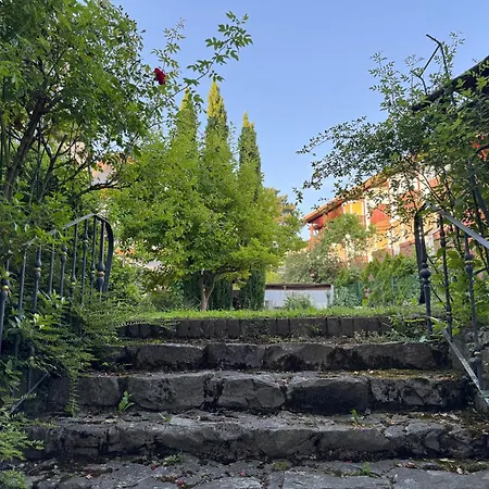 Διαμέρισμα Black Garden Loft - Design Bad Krozingen